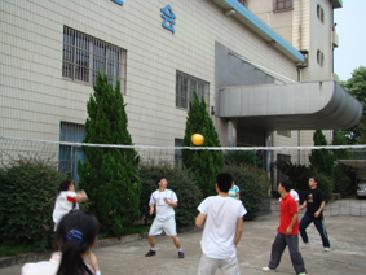 ylzz总站线路检测中心第四届排球比赛顺利落幕