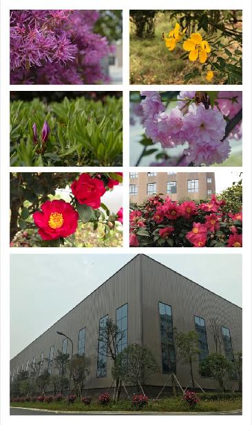 ylzz总站线路检测中心四季 